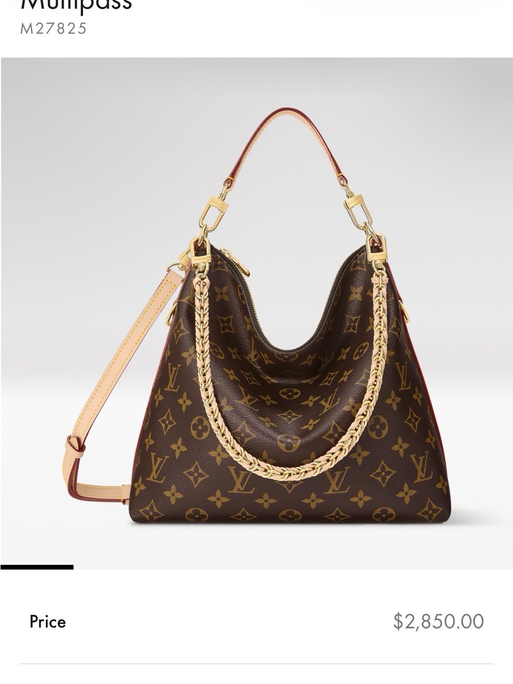 Louis Vuitton Monogram Canvas Braided-Handle Shoulder Bag in Brown